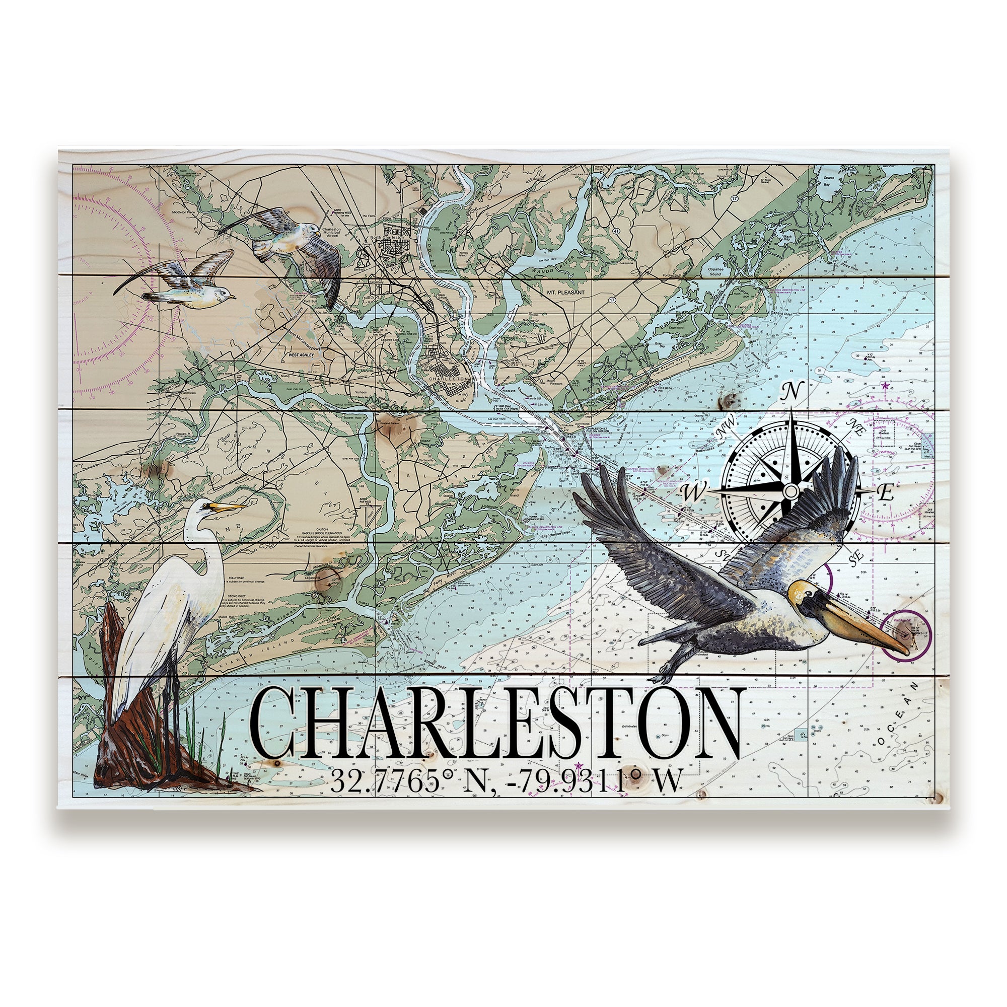 Charleston, SC - Birds Pallet Map