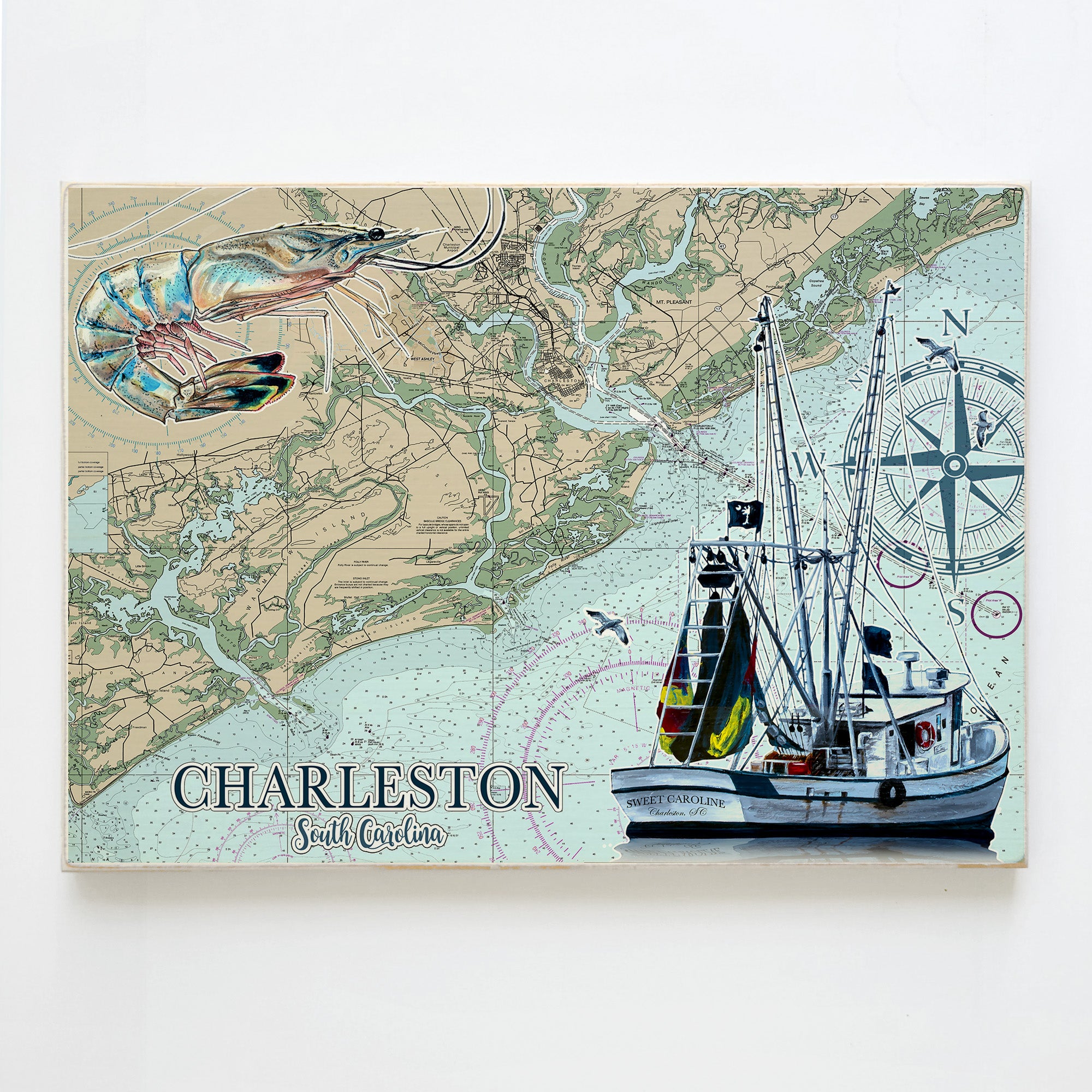 Nautical Maps Charleston Sc NOAA Nautical Chart 11520 North