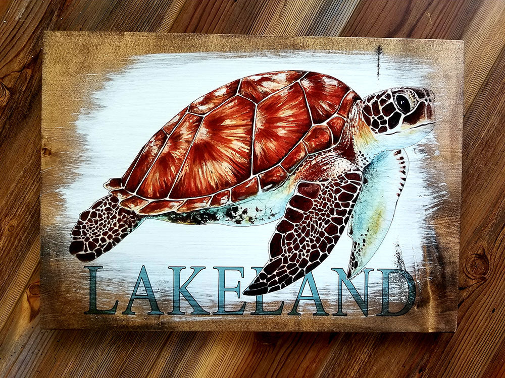 Lakeland, FL Turtle Plank