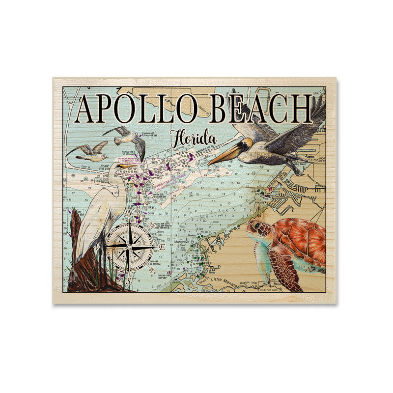 Apollo Beach FL Driftwood 5x7 inch Wood Wall Hanging Map Sign