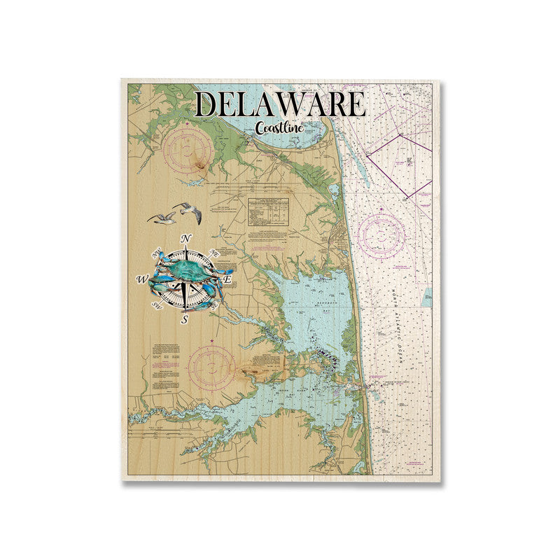 Delaware Coast Salt Life 5x7 inch Wood Wall Hanging Map Sign