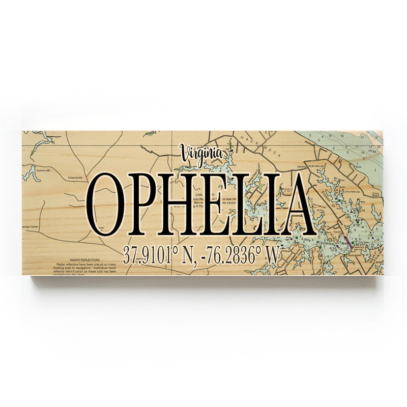 Ophelia Virginia 3x9 Wood Coordinate Wall Hanging Map Sign