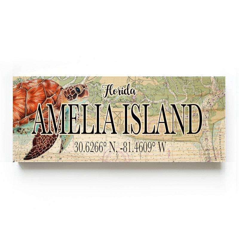 Amelia Island, Florida with Turtle 3x9 Wood Coordinate Wall Hanging Map Sign