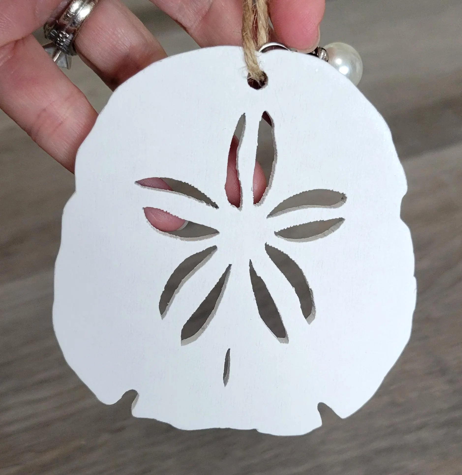 Gulf of America Sand Dollar Shaped Map Ornament