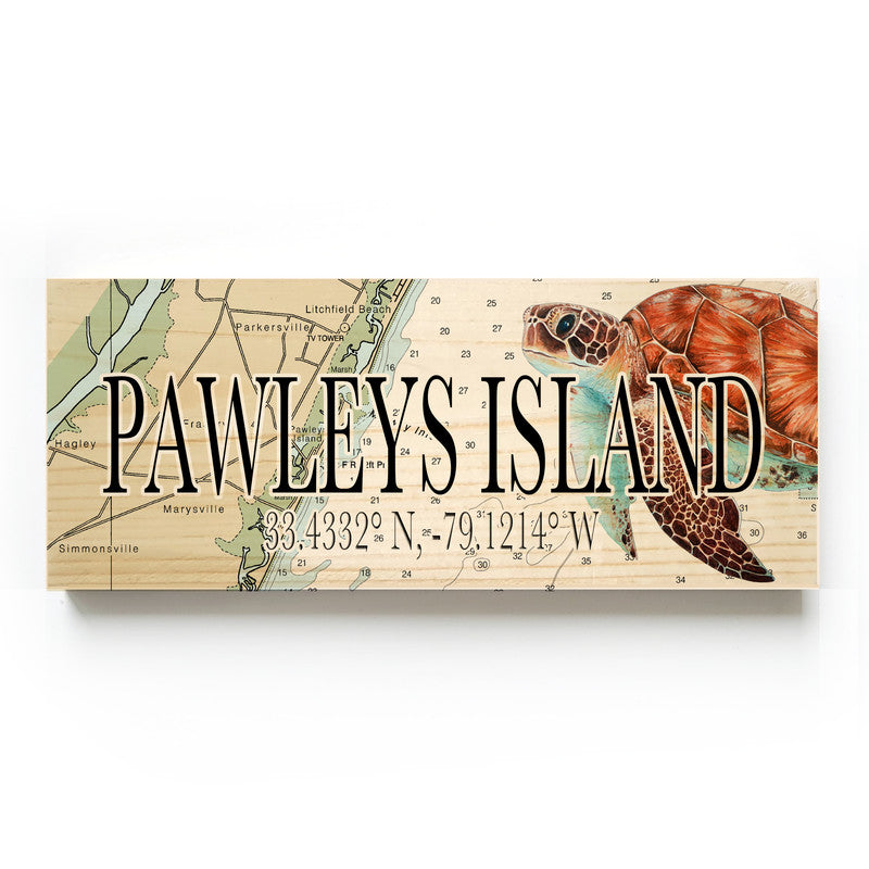 Pawleys Island South Carolina with Sea Turtle 3x9 Wood Coordinate Wall Hanging Map Sign