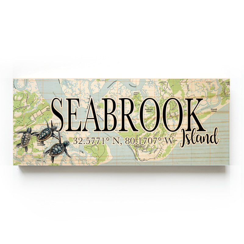 Seabrook Island South Carolina with Baby Turtle 3x9 Wood Coordinate Wall Hanging Map Sign