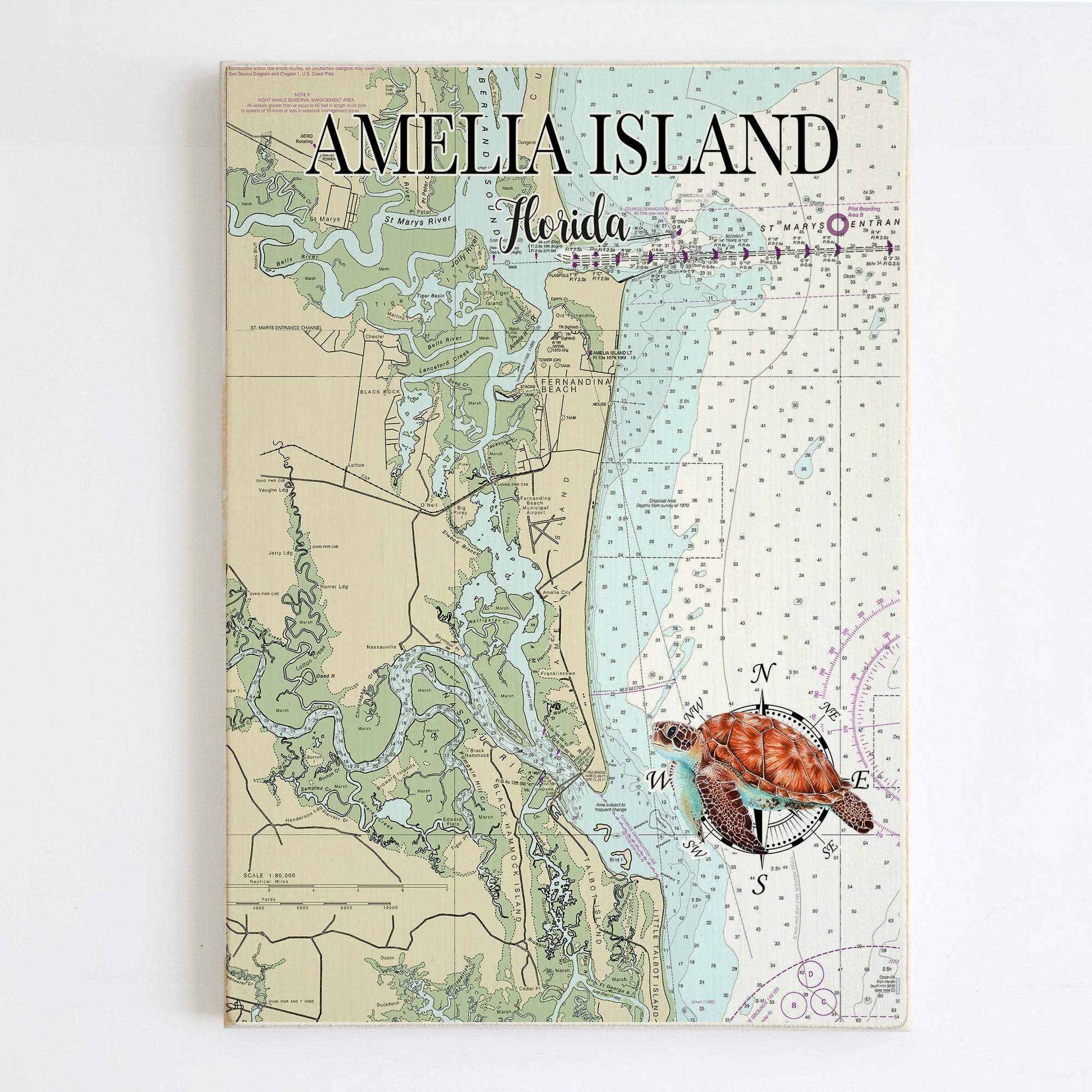 Amelia Island, FL   Sea Turtle Plank Map