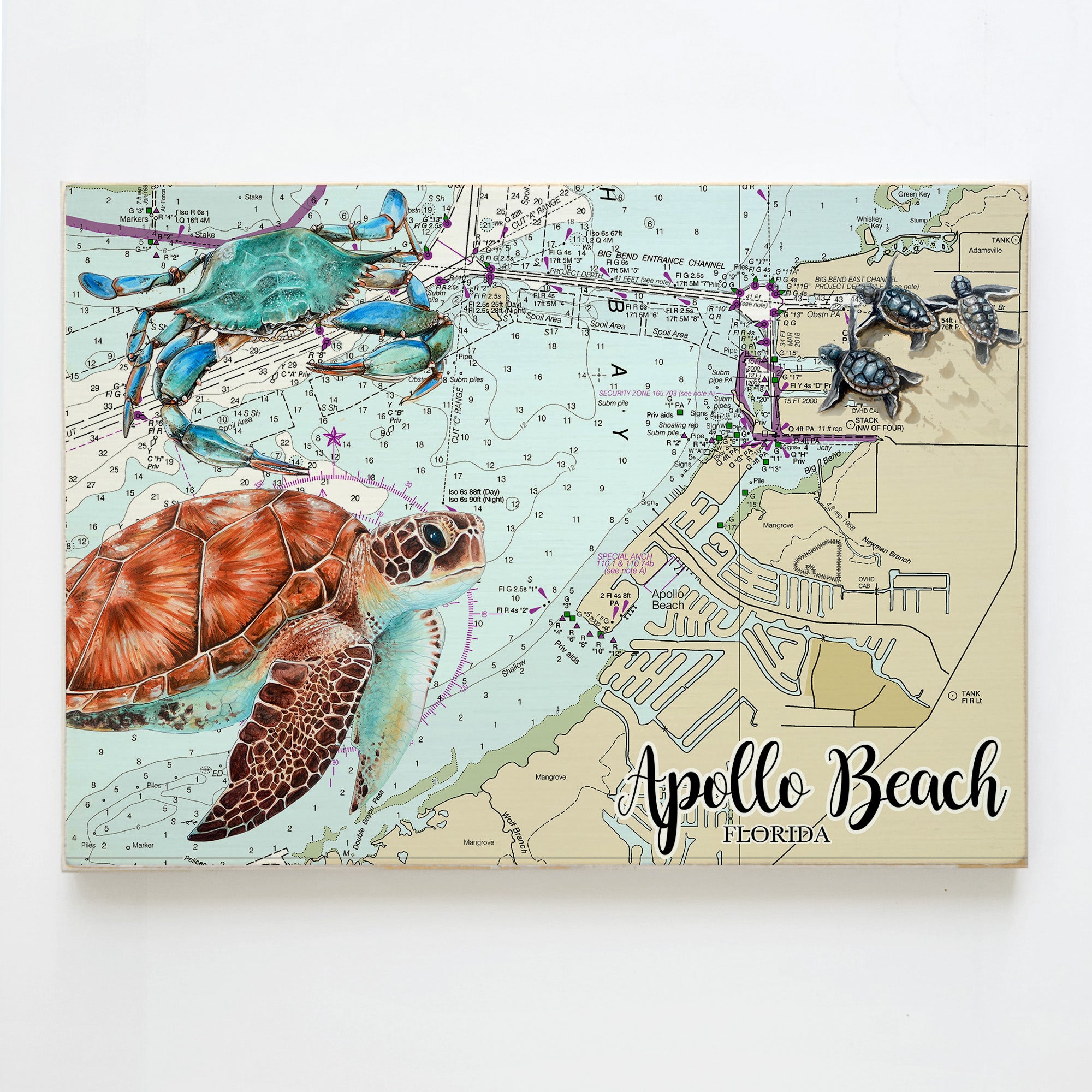 Apollo Beach, FL   Sea Turtles Blue Crab Plank Map