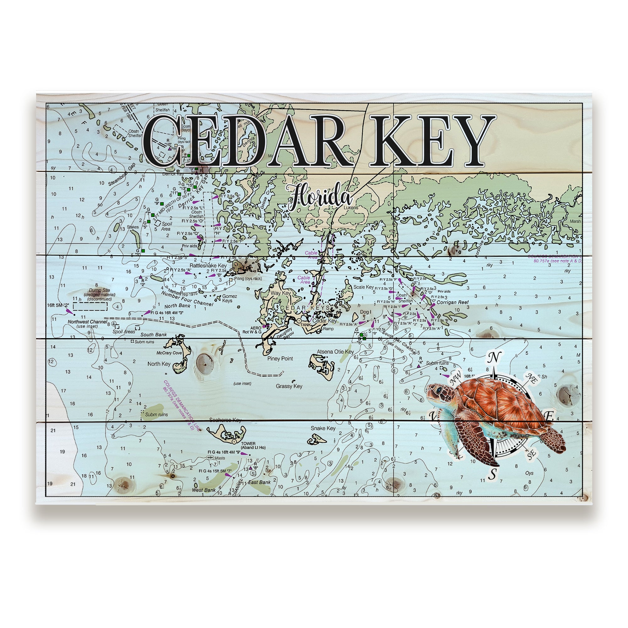 Cedar Key,  FL- Sea Turtle Pallet Map