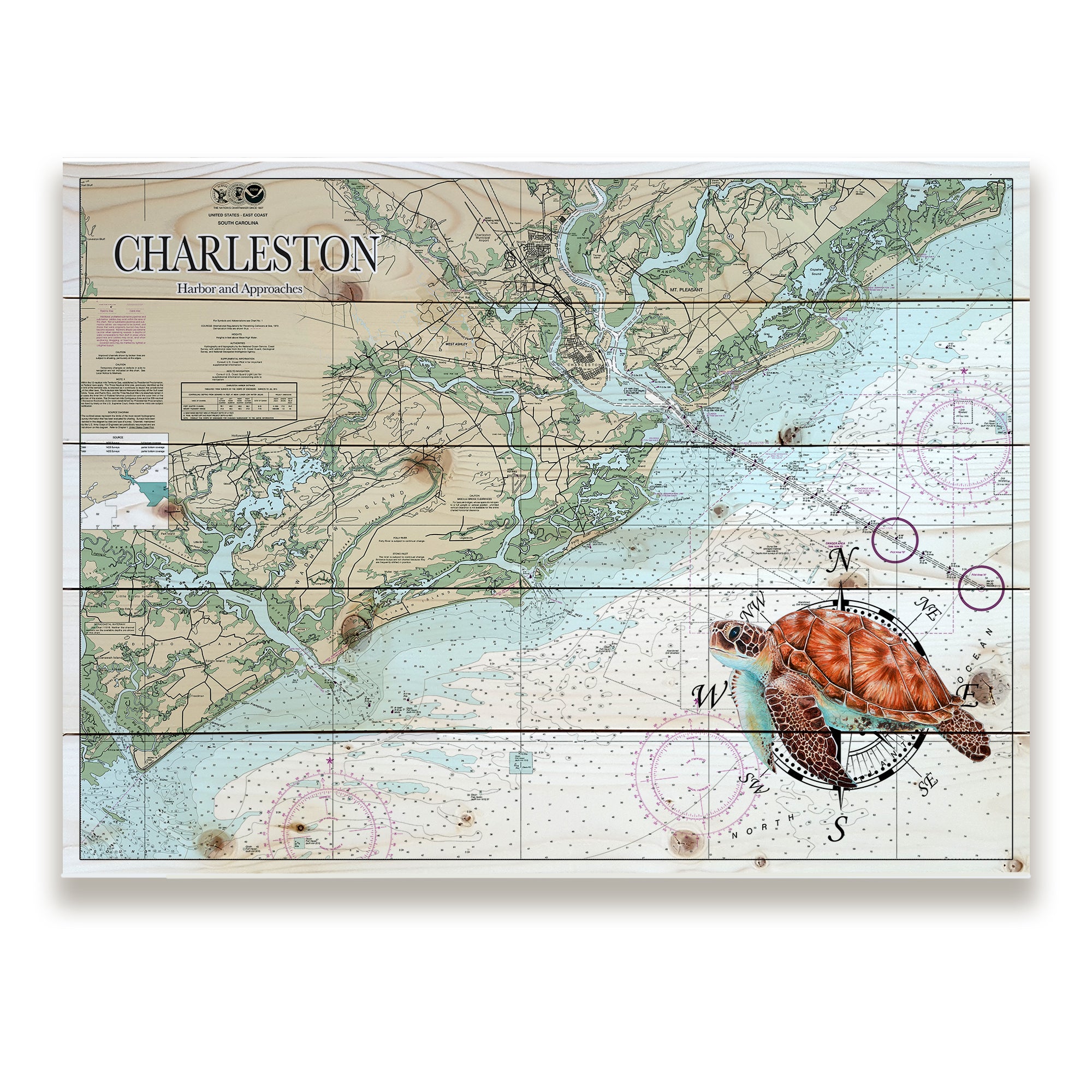 Charleston, SC - Sea Turtle Pallet Map