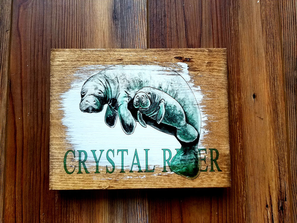 Crystal River, FL Mini Plank Manatee Artwork