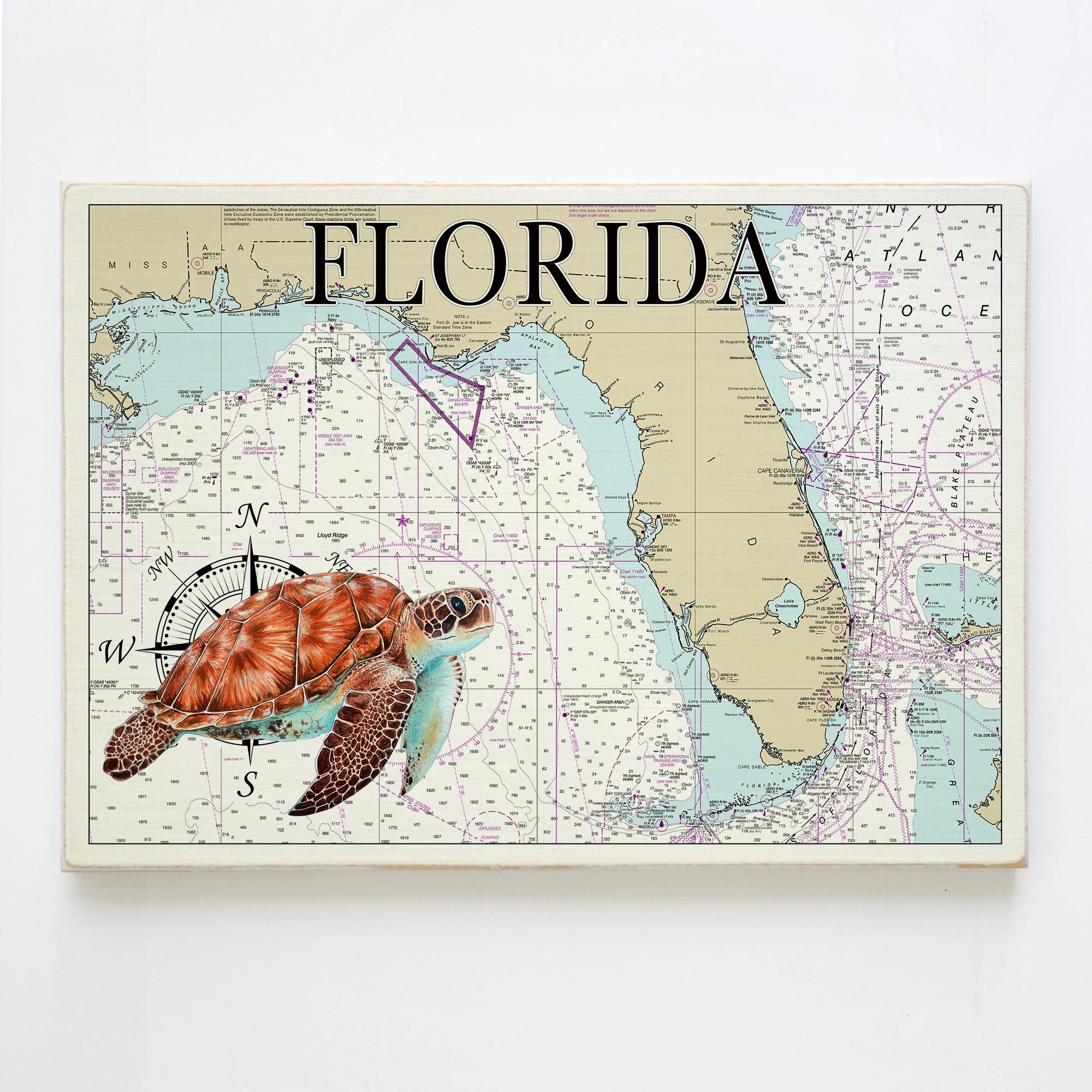 Sea Turtle Map
