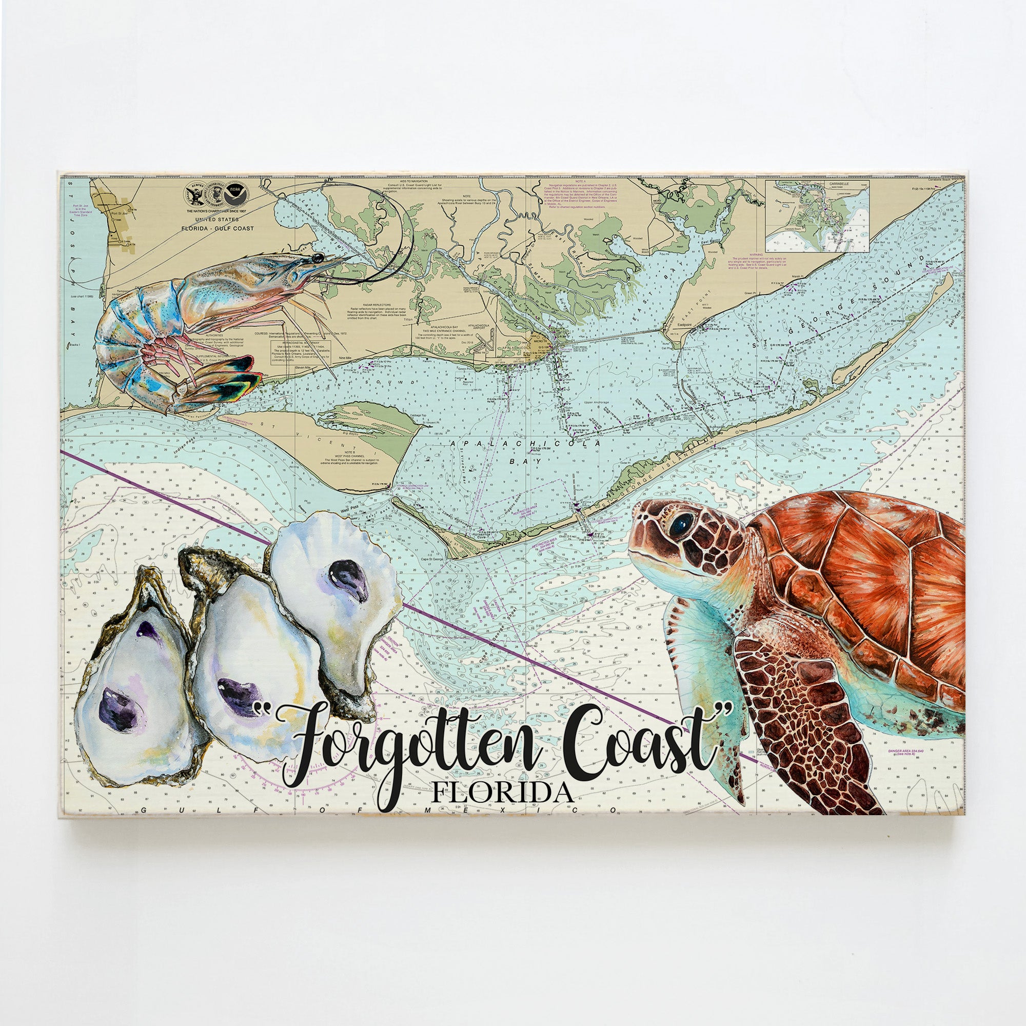 Forgotten Coast, FL   Oyster Sea Turtle Shrimp Plank Map