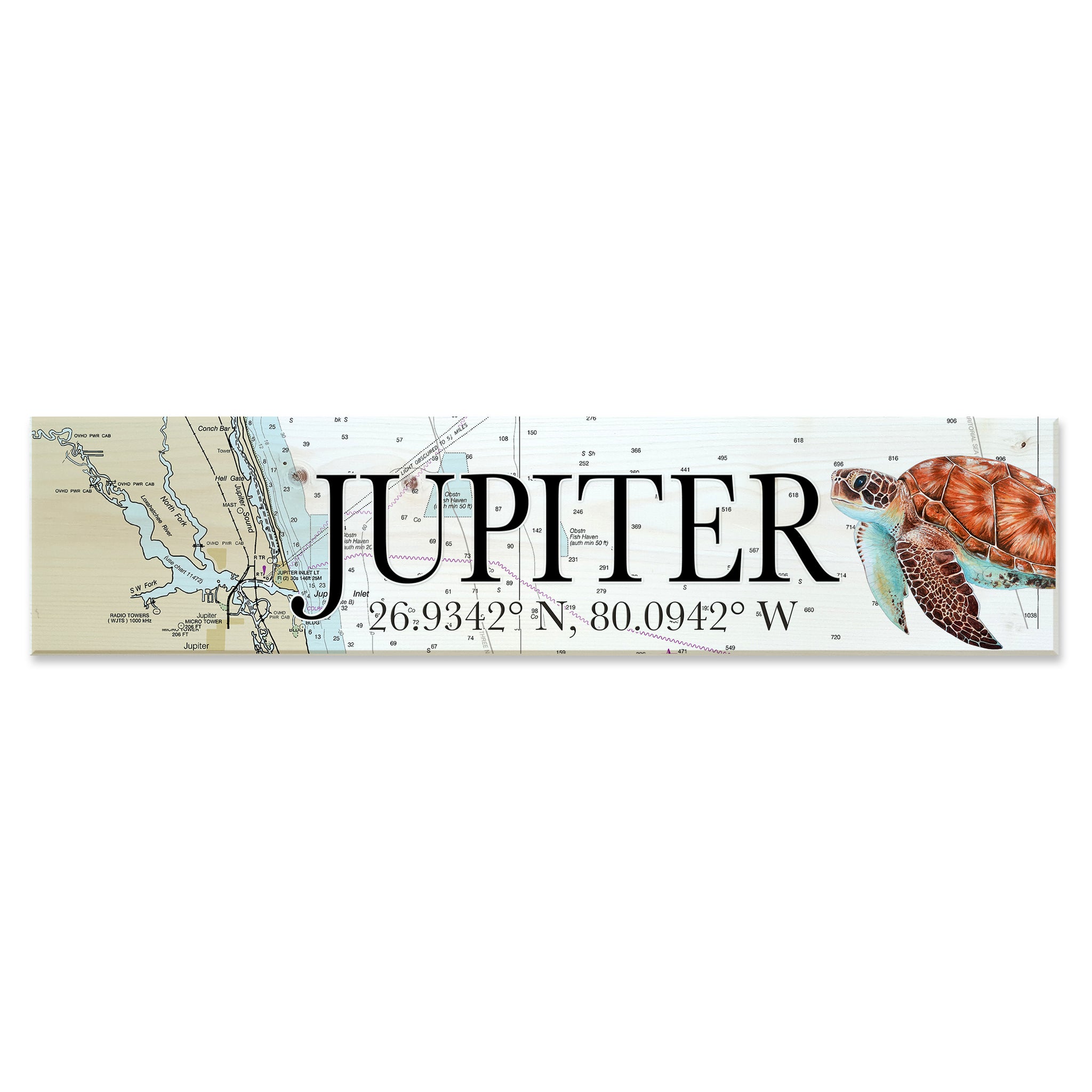 Jupiter, FL  Sea Turtle Coordinate Sign