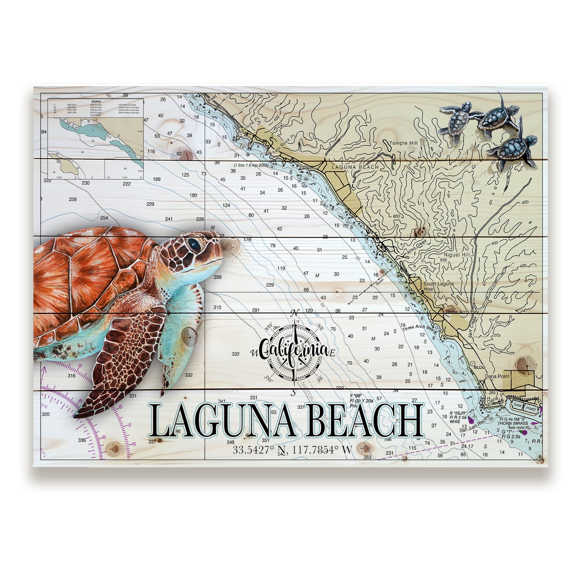 Laguna Beach, CA- Sea Turtle Pallet Map
