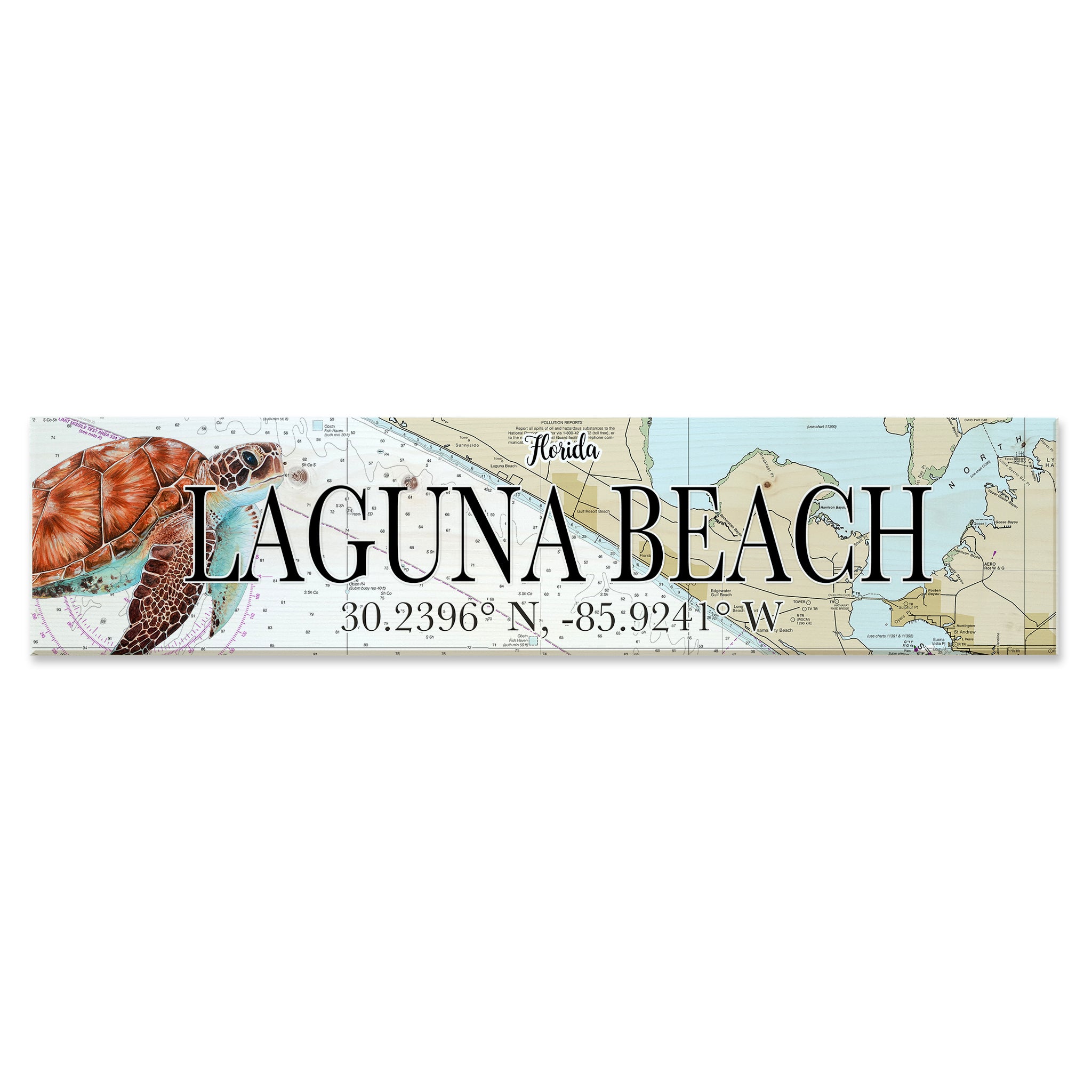 Laguna Beach, CA  Sea Turtle Coordinate Sign