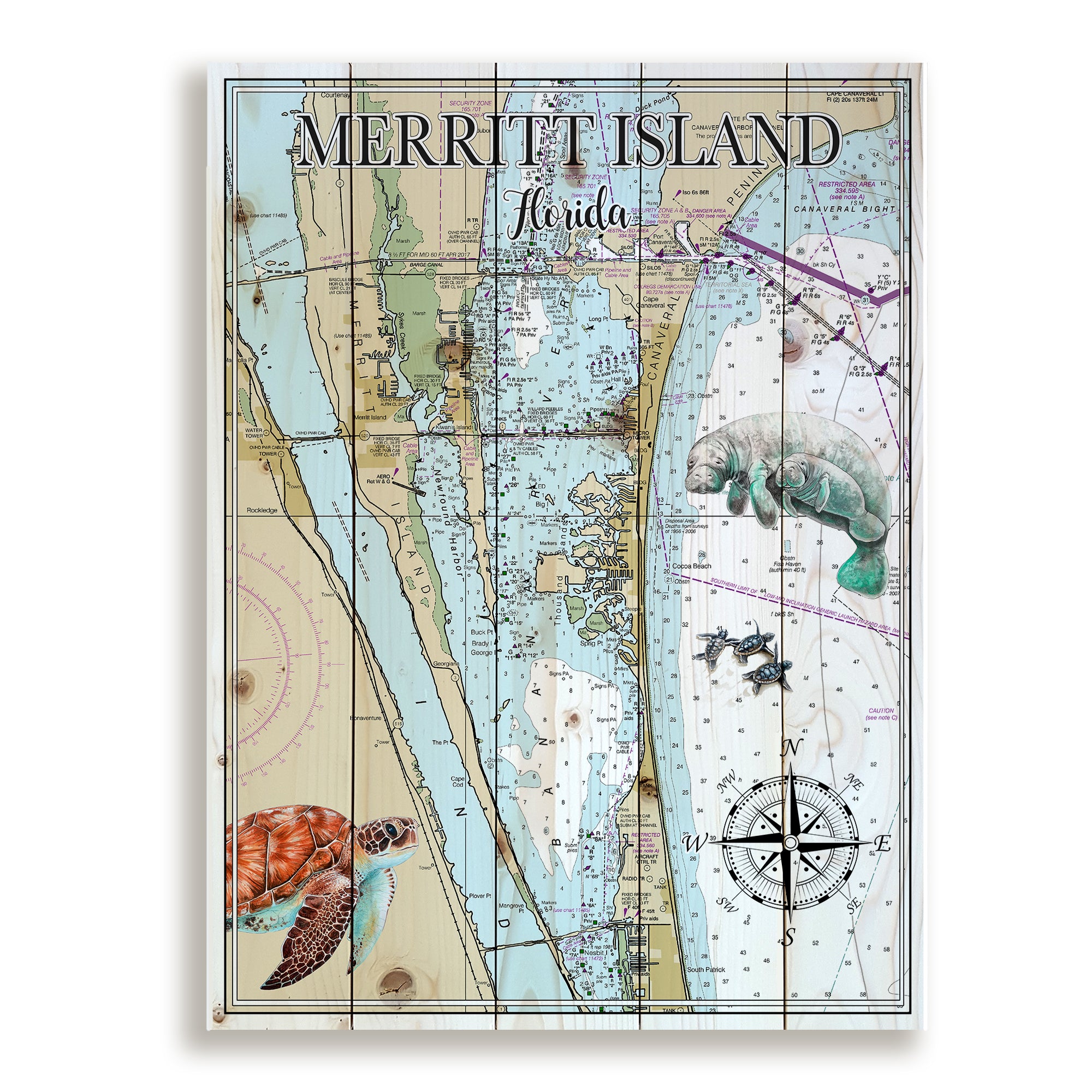 Merrit Island, FL Ocean Life Pallet Map