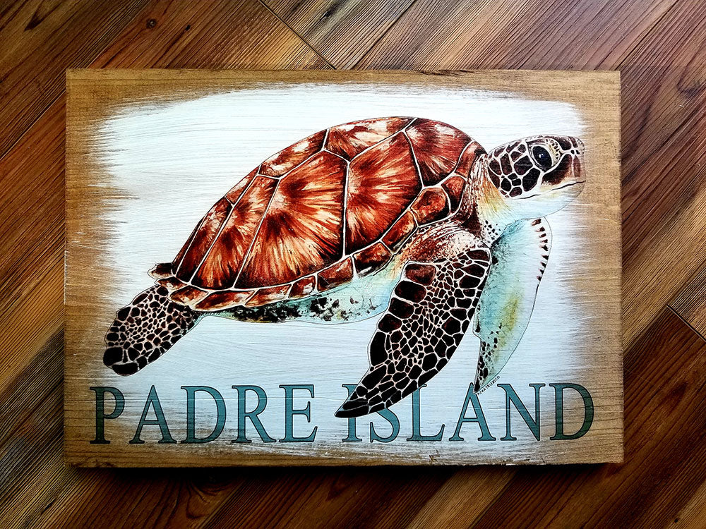 Padre Island, TX Turtle Artwork