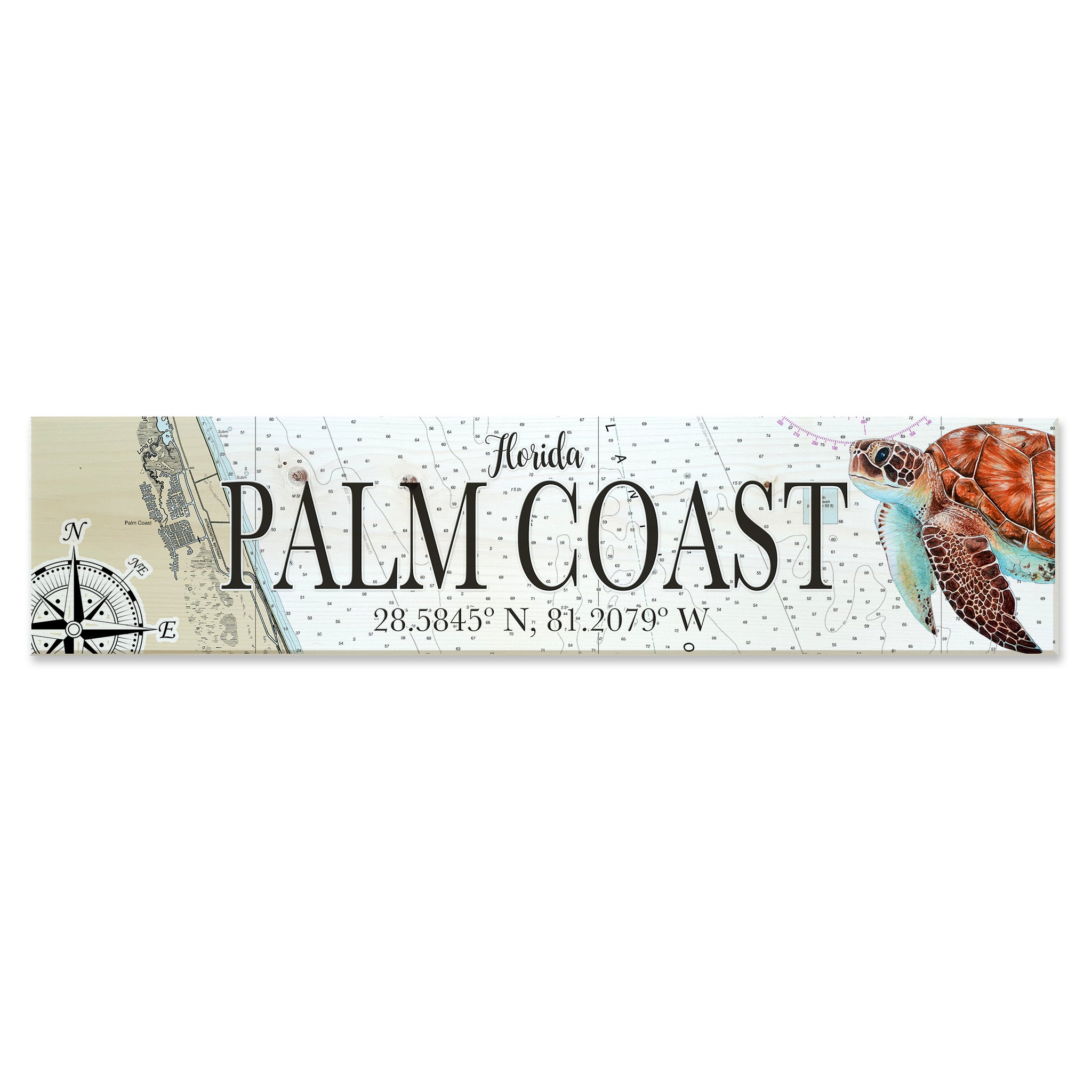 Palm Coast, FL Sea Turtle Coordinate Sign