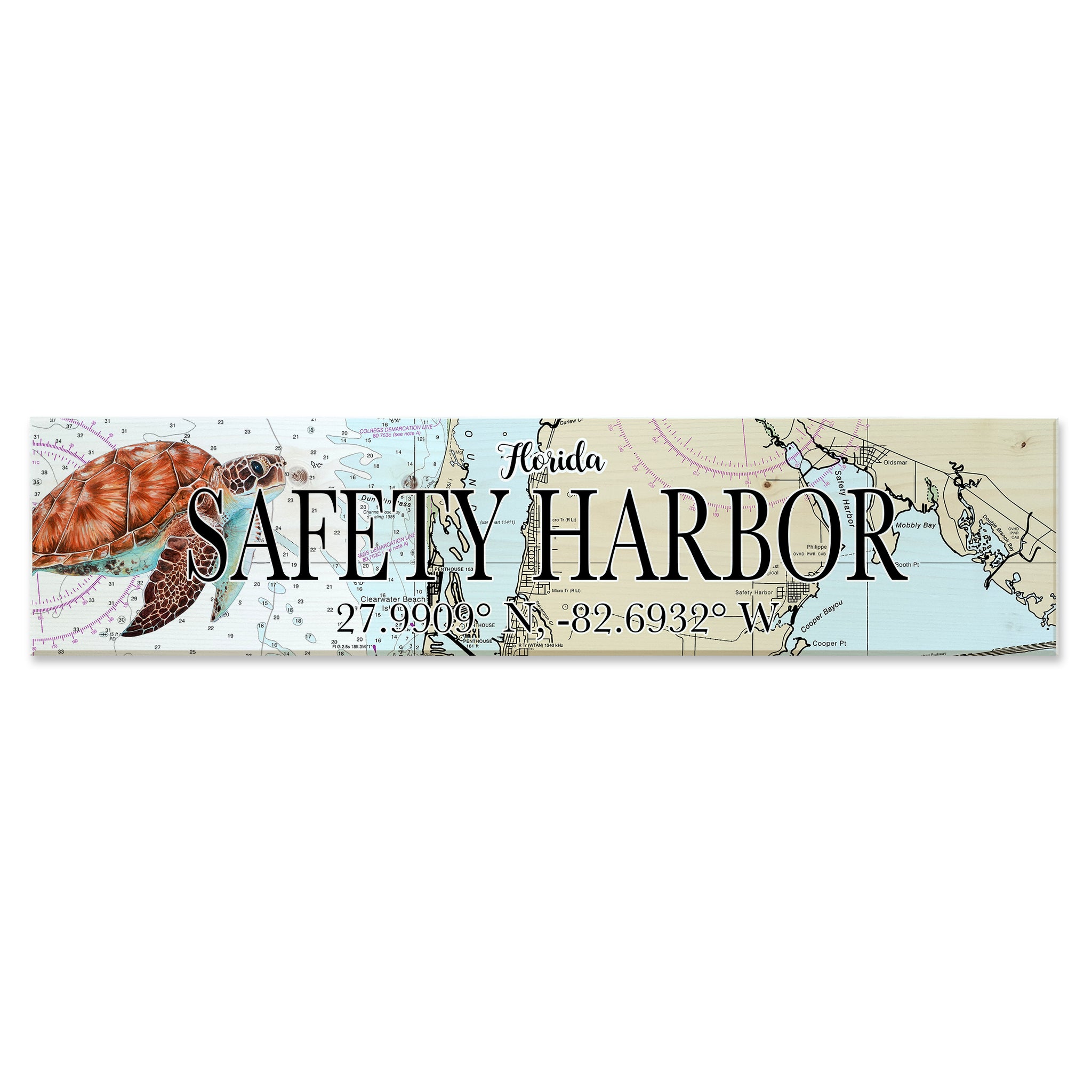 Safety Harbor,  FL Sea Turtle Coordinate Sign