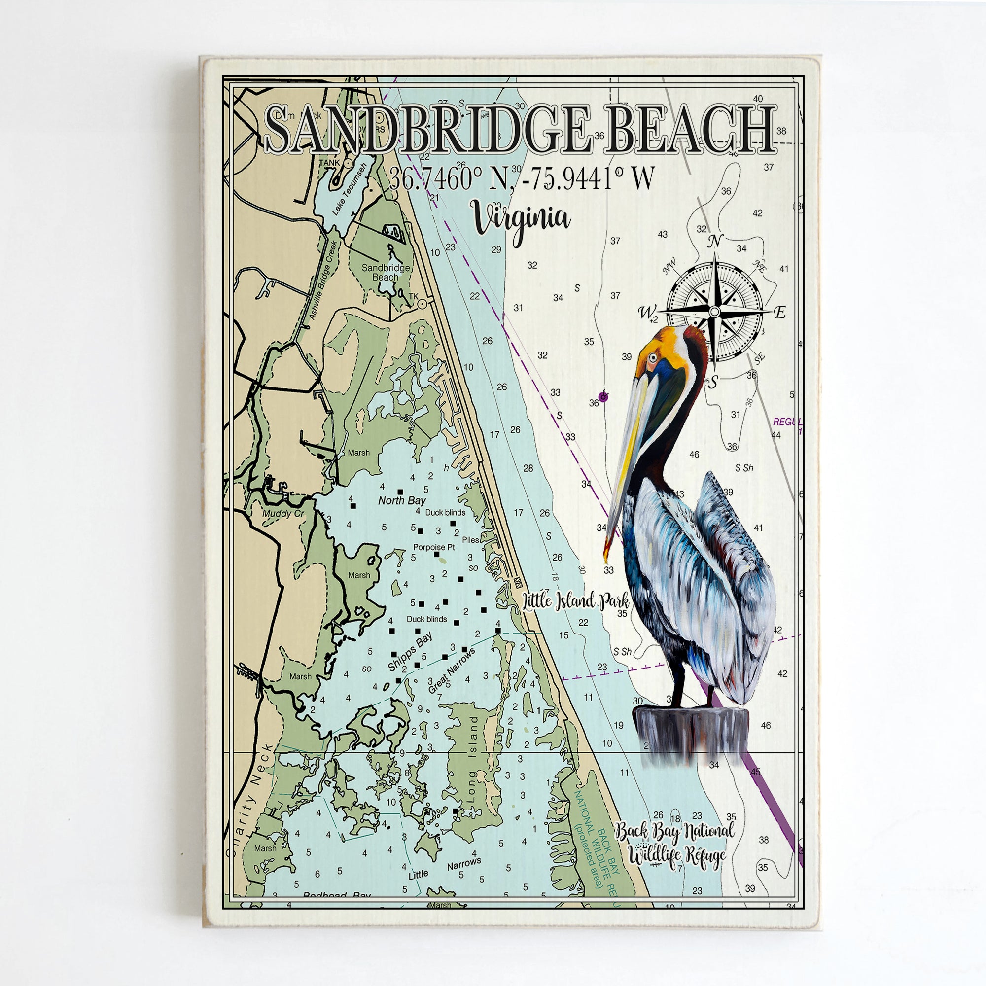 Sandbridge Beach, VA  Pelican Plank Map
