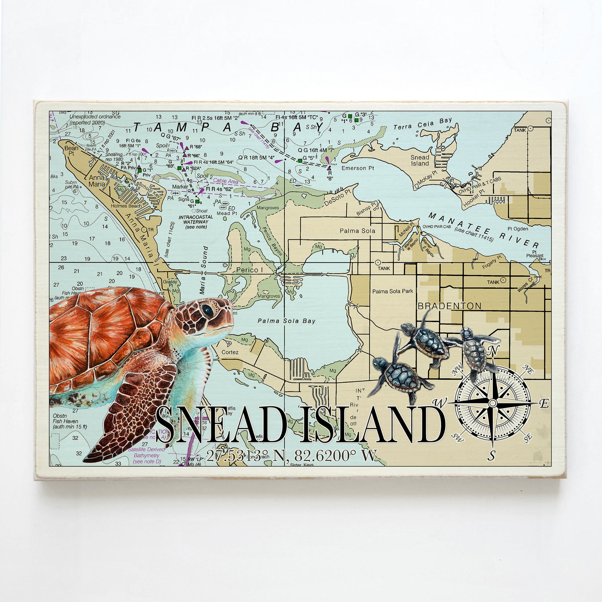 Snead Island, FL  Sea Turtle Plank Map