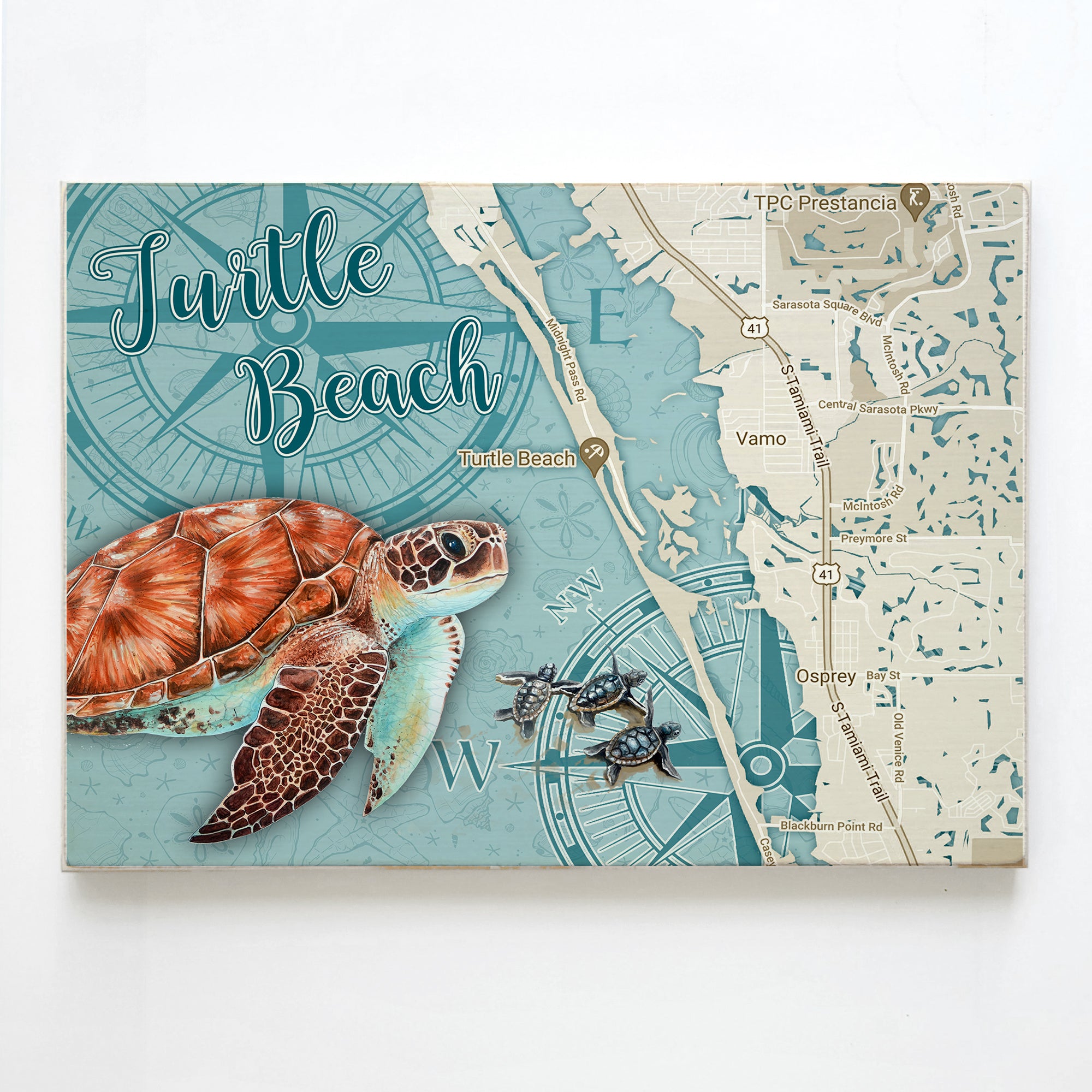 Turtle Beach FL  Sea Turtle Plank Map